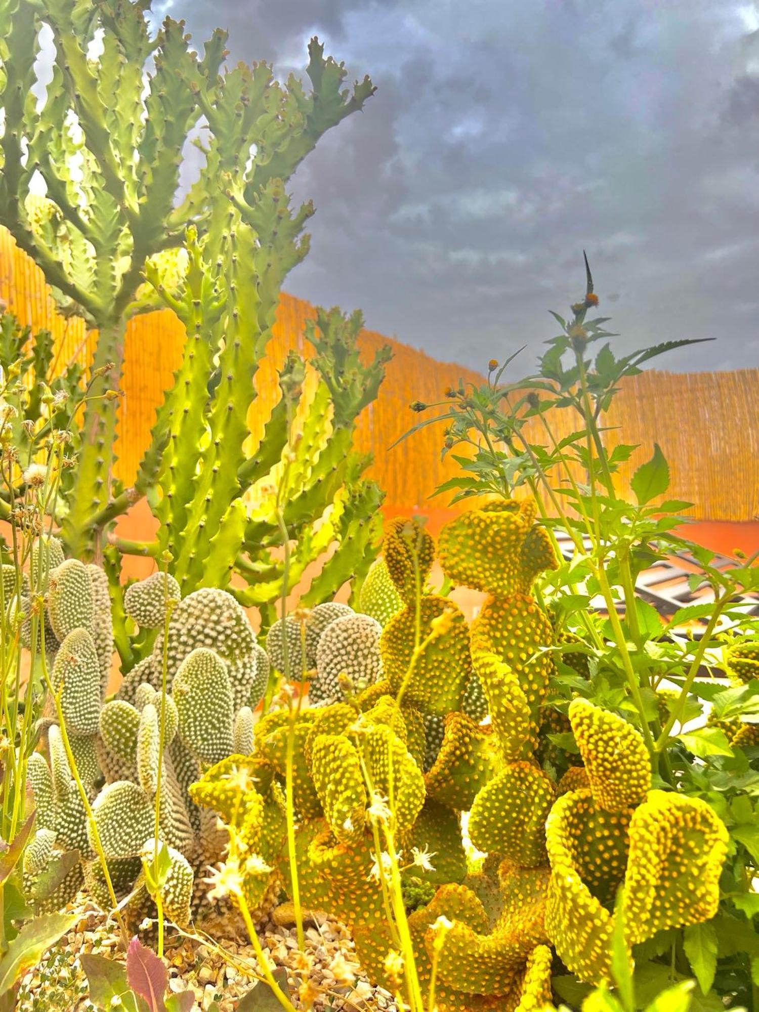 Riad Azad & Spa Marrakesch Exterior foto